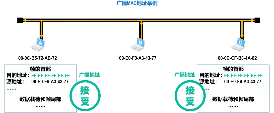 image-20240821150129701