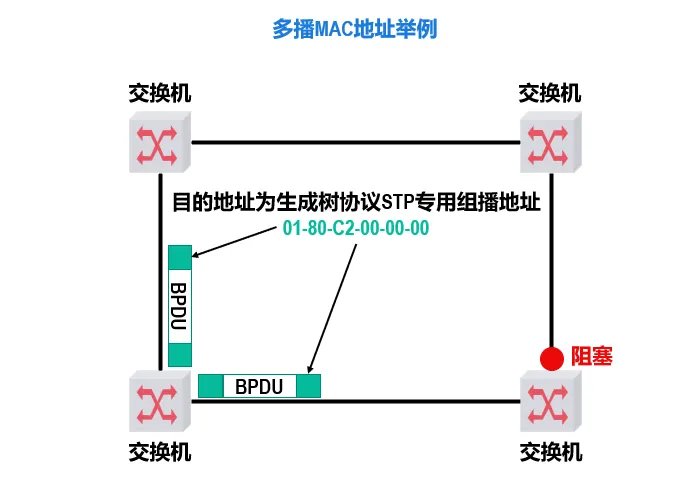 image-20240821150555193