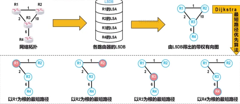 image-20240823221943195