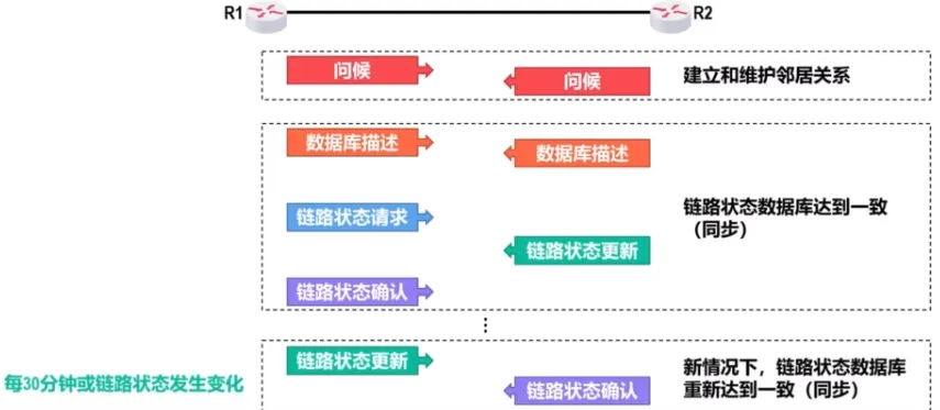 image-20240823222257862