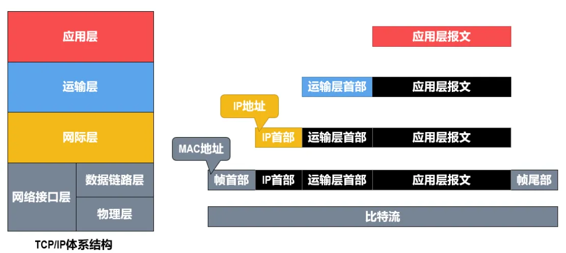 image-20240830184406508