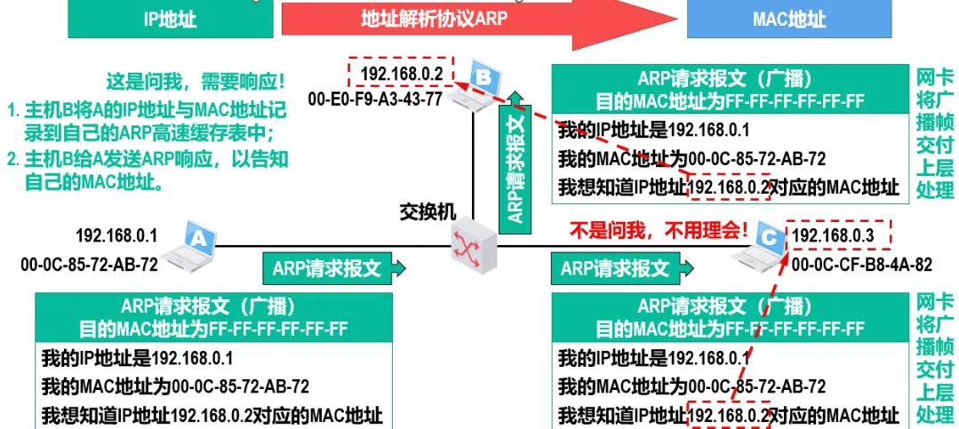 image-20240830184443635