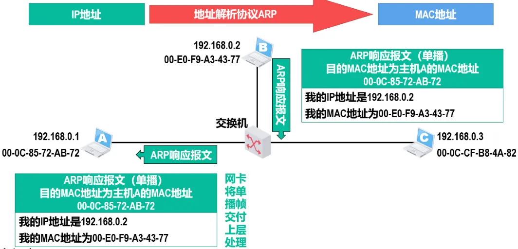 image-20240830184452803