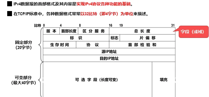 image-20240830184611784